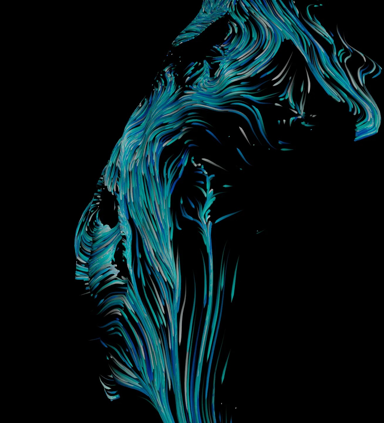 Digital Double 4